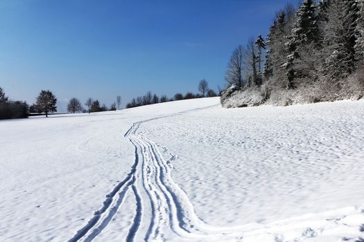 Winter landscape early morning after a light snowfall in Zug, Switzerland. With tracks in the snow and trees