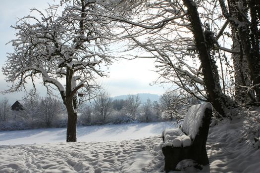 Winter landscape early morning after a light snowfall in Zug, Switzerland. With tracks in the snow and trees