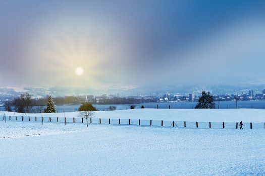 Winter landscape early morning after a light snowfall in Zug, Switzerland. With tracks in the snow and trees