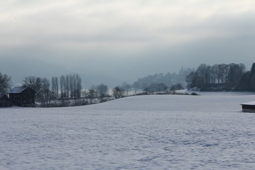 Winter landscape early morning after a light snowfall in Zug, Switzerland. With tracks in the snow and trees