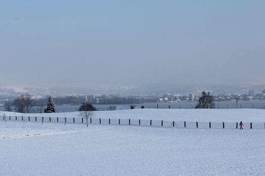 Winter landscape early morning after a light snowfall in Zug, Switzerland. With tracks in the snow and trees and fence