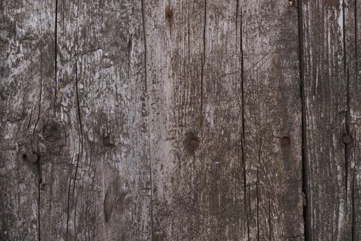 Old wooden texured surface closeup. Moss and relief on surface. Stock photo of old wooden pattern of aged boards with moss. Brown and gray colors on photo.