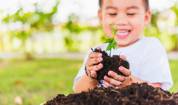 World Environment Day Environment Concept, Hand of Asian cute little cheerful child boy holding young tree on black soil ready to plan on green garden background