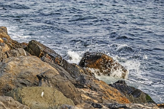 wavy sea view in nature for background and wallpaper