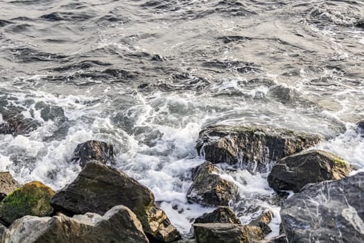 wavy sea view in nature for background and wallpaper