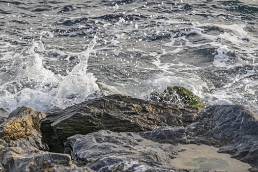 wavy sea view in nature for background and wallpaper