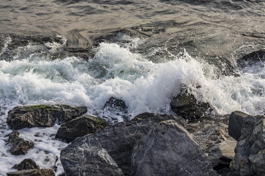 wavy sea view in nature for background and wallpaper