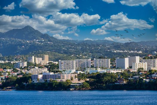 Luxury Condos on the coast of French Martinique