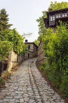 Stone footpath in a greek traditional village at Olympus mountain. Greece.