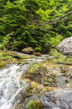 Ourlia forest waterfalls at Olympus mountain, Greece