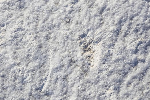 natural pattern view in nature for background and wallpaper