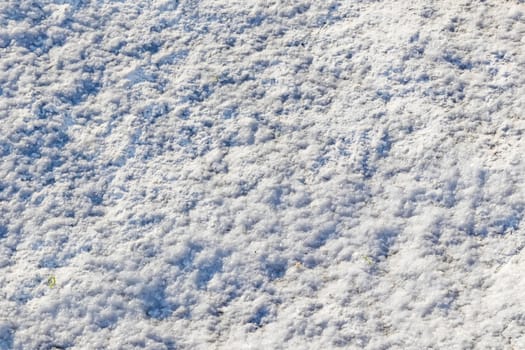 natural pattern view in nature for background and wallpaper