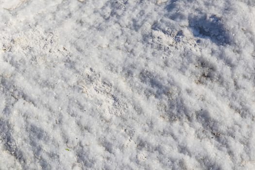 natural pattern view in nature for background and wallpaper