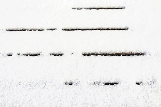 natural pattern view in nature for background and wallpaper