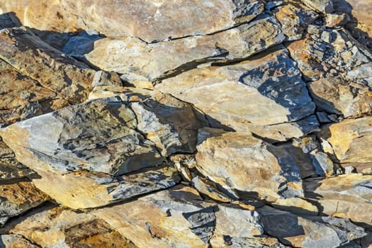 natural pattern view in nature for background and wallpaper