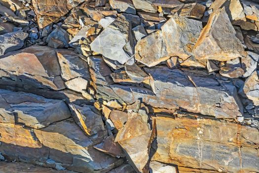 natural pattern view in nature for background and wallpaper