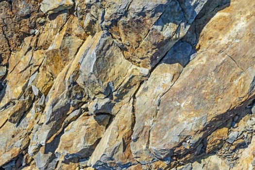 natural pattern view in nature for background and wallpaper