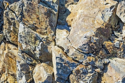 natural pattern view in nature for background and wallpaper