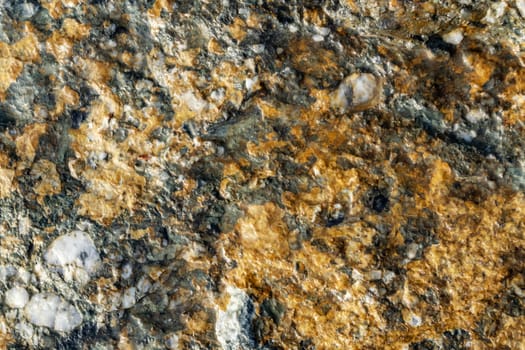 natural pattern view in nature for background and wallpaper