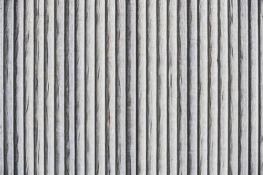 natural pattern view in nature for background and wallpaper