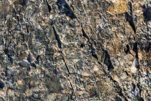 natural pattern view in nature for background and wallpaper