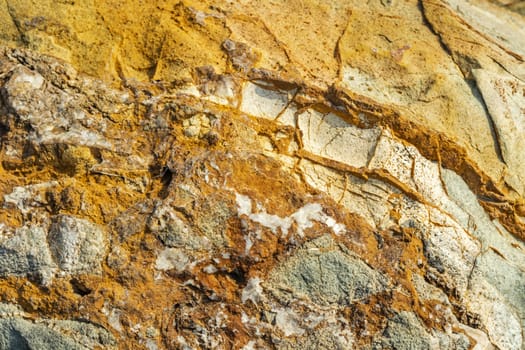natural pattern view in nature for background and wallpaper