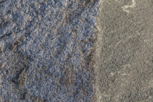 natural pattern view in nature for background and wallpaper