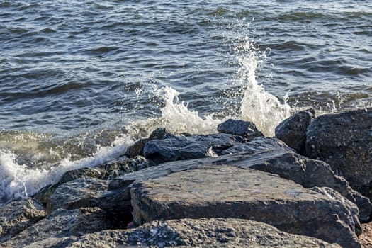 wavy sea view in nature for background and wallpaper