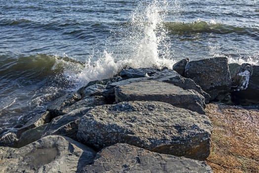 wavy sea view in nature for background and wallpaper