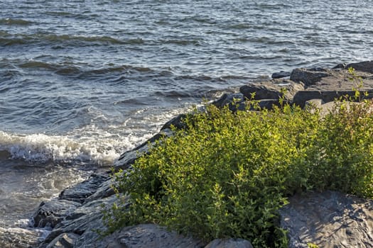 wavy sea view in nature for background and wallpaper