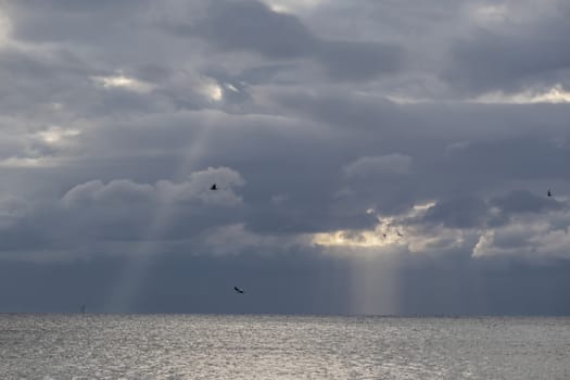 wavy sea view in nature for background and wallpaper