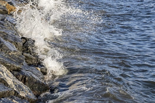 wavy sea view in nature for background and wallpaper