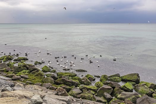 relaxing sea view in nature for background and wallpaper