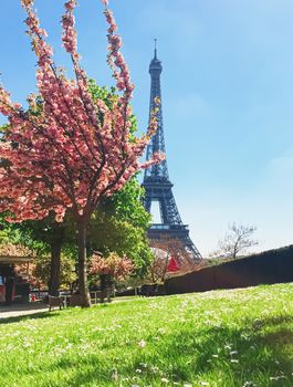 Eiffel Tower and blue sky, famous landmark in Paris, France in spring