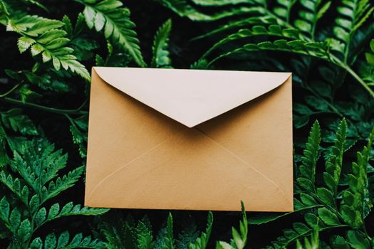 Blank envelope and green leaves in nature, paper card as background, correspondence and newsletter concept