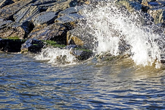 wavy sea view in nature for background and wallpaper