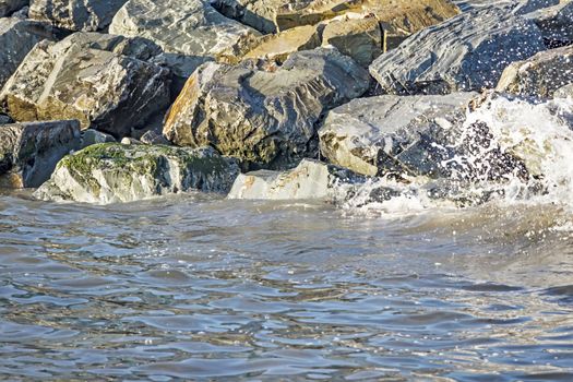 wavy sea view in nature for background and wallpaper