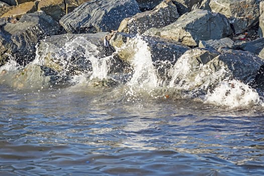 wavy sea view in nature for background and wallpaper