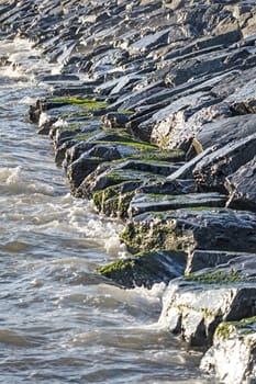 wavy sea view in nature for background and wallpaper