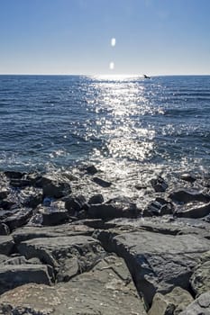 wavy sea view in nature for background and wallpaper