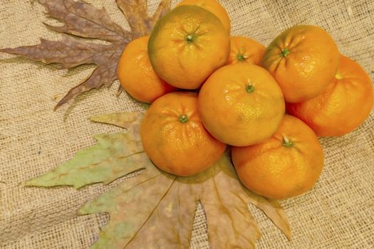 mandarin fruits with vitamin c in winter season