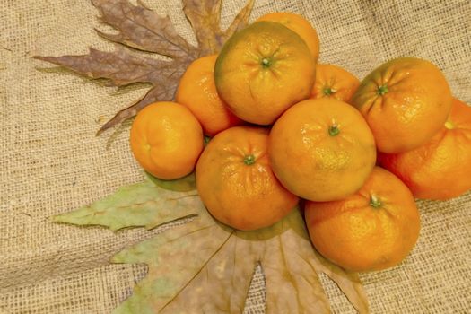 mandarin fruits with vitamin c in winter season