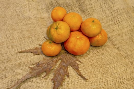 mandarin fruits with vitamin c in winter season