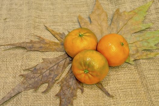 mandarin fruits with vitamin c in winter season