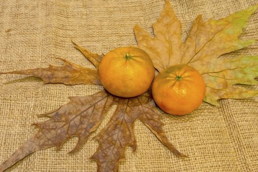 mandarin fruits with vitamin c in winter season