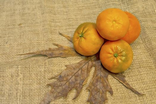 mandarin fruits with vitamin c in winter season