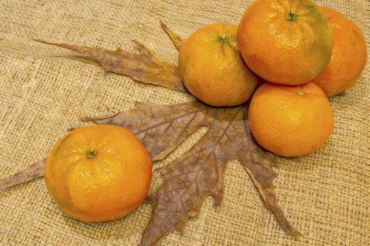 mandarin fruits with vitamin c in winter season
