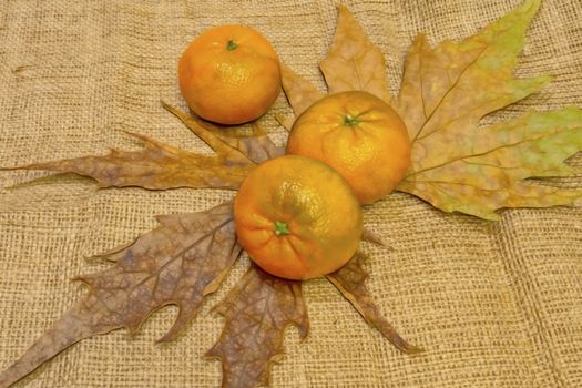 mandarin fruits with vitamin c in winter season
