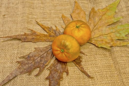 mandarin fruits with vitamin c in winter season
