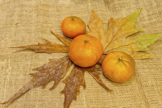 mandarin fruits with vitamin c in winter season